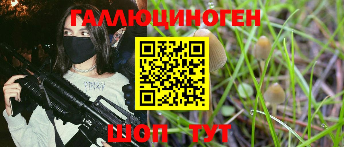 Касимов  Галлюциногенные грибы мухоморы  Вход с VPN 