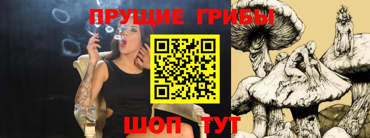 Галлюциногенные грибы мухоморы Касимов