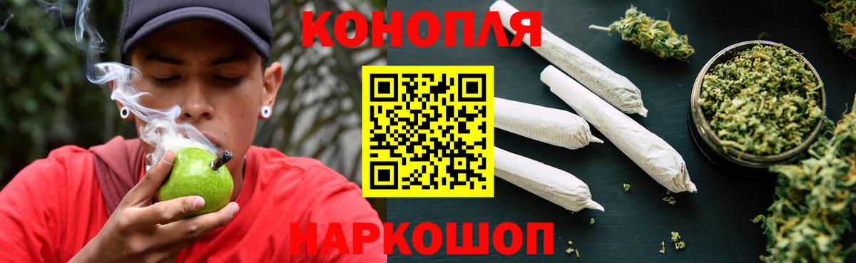 Марихуана сатива Касимов